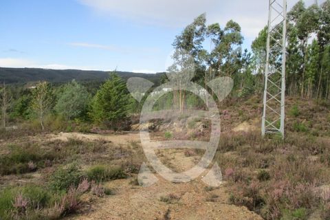 Helårsgrund i Miranda do Corvo, Coimbra, Miranda do Corvo - € 72.500 | Ref: cbr1794 - foto 39