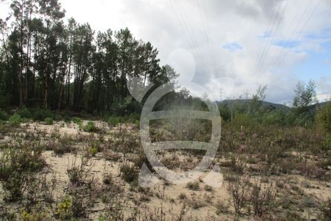 Helårsgrund i Miranda do Corvo, Coimbra, Miranda do Corvo - € 72.500 | Ref: cbr1794 - foto 40
