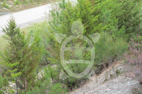 Helårsgrund i Miranda do Corvo, Coimbra, Miranda do Corvo - € 72.500 | Ref: cbr1794 - foto 46