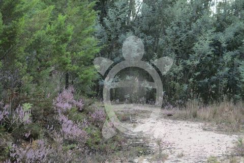 Helårsgrund i Miranda do Corvo, Coimbra, Miranda do Corvo - € 72.500 | Ref: cbr1794 - foto 49