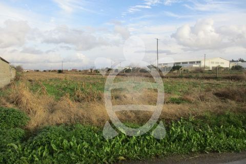 Helårsgrund i Lavos, Coimbra, Lavos - € 30.900 | Ref: ff0625 - foto 2
