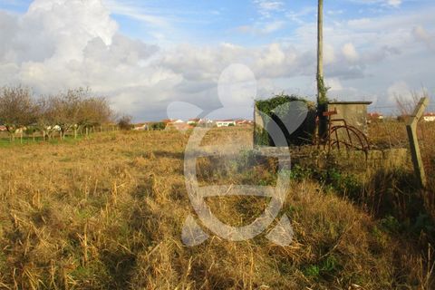Helårsgrund i Lavos, Coimbra, Lavos - € 30.900 | Ref: ff0625 - foto 3