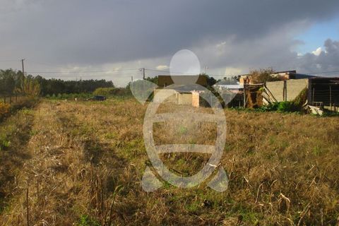 Helårsgrund i Lavos, Coimbra, Lavos - € 30.900 | Ref: ff0625 - foto 4