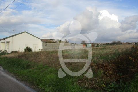 Helårsgrund i Lavos, Coimbra, Lavos - € 30.900 | Ref: ff0625 - foto 5