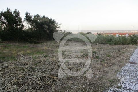 Helårsgrund i Lavos, Coimbra, Lavos - € 45.000 | Ref: ff0626 - foto 2