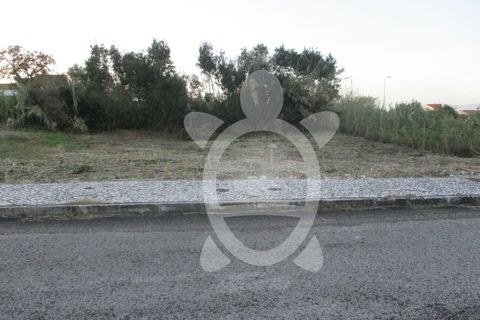 Helårsgrund i Lavos, Coimbra, Lavos - € 45.000 | Ref: ff0626 - foto 3