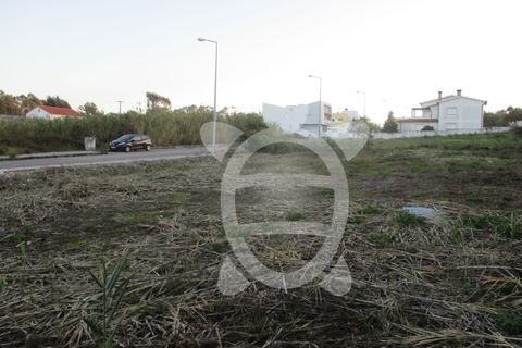 Helårsgrund i Lavos, Coimbra, Lavos - € 45.000 | Ref: ff0626 - foto 4