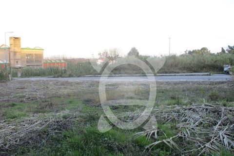 Helårsgrund i Lavos, Coimbra, Lavos - € 45.000 | Ref: ff0626 - foto 5