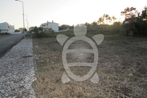 Helårsgrund i Lavos, Coimbra, Lavos - € 45.000 | Ref: ff0626 - foto 6