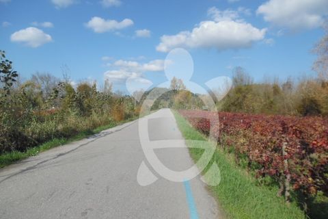 Helårsgrund i Coimbra, Coimbra, Coimbra - € 19.500 | Ref: cbr1737 - foto 4