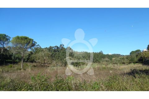 Terra a Assafarge e Antanhol, Coimbra, Assafarge e Antanhol - € 24.500 | Ref: cbr1722 - foto 2