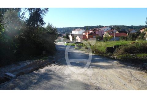 Terra a Assafarge e Antanhol, Coimbra, Assafarge e Antanhol - € 24.500 | Ref: cbr1722 - foto 3