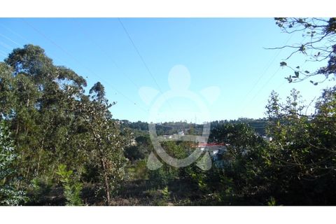 Terra a Assafarge e Antanhol, Coimbra, Assafarge e Antanhol - € 24.500 | Ref: cbr1722 - foto 6