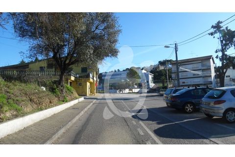 Terra a Assafarge e Antanhol, Coimbra, Assafarge e Antanhol - € 24.500 | Ref: cbr1722 - foto 7