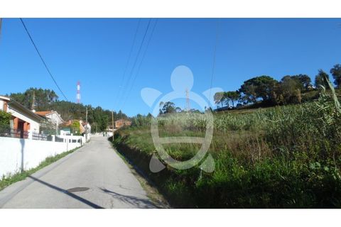Terra a Assafarge e Antanhol, Coimbra, Assafarge e Antanhol - € 24.500 | Ref: cbr1722 - foto 9