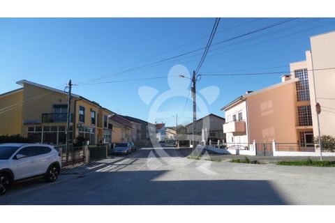 Terra a Assafarge e Antanhol, Coimbra, Assafarge e Antanhol - € 24.500 | Ref: cbr1722 - foto 10
