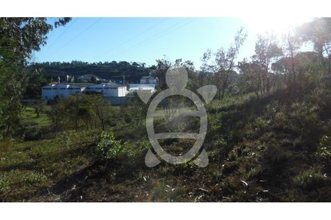Terra a Assafarge e Antanhol, Coimbra, Assafarge e Antanhol - € 24.500 | Ref: cbr1722 - foto 12