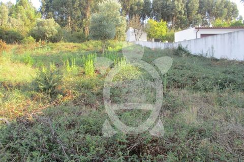 Helårsgrund i Coimbra, Coimbra, Coimbra - € 62.500 | Ref: cbr1688 - foto 1