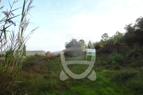 Helårsgrund i Coimbra, Coimbra, Coimbra - € 62.500 | Ref: cbr1688 - foto 4