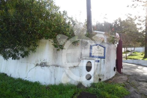Helårsgrund i Coimbra, Coimbra, Coimbra - € 62.500 | Ref: cbr1688 - foto 5