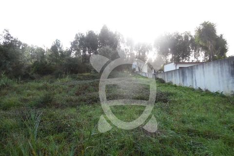 Helårsgrund i Coimbra, Coimbra, Coimbra - € 62.500 | Ref: cbr1688 - foto 6