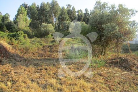Helårsgrund i Coimbra, Coimbra, Coimbra - € 62.500 | Ref: cbr1688 - foto 8