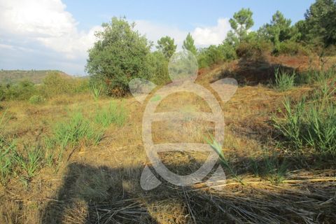 Helårsgrund i Coimbra, Coimbra, Coimbra - € 62.500 | Ref: cbr1688 - foto 9