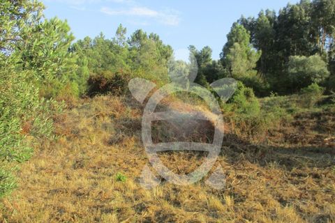 Helårsgrund i Coimbra, Coimbra, Coimbra - € 62.500 | Ref: cbr1688 - foto 10