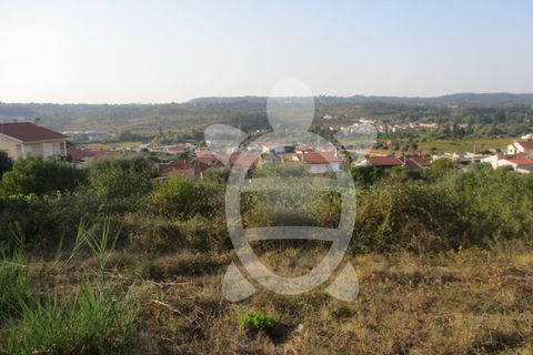Helårsgrund i Coimbra, Coimbra, Coimbra - € 62.500 | Ref: cbr1688 - foto 11