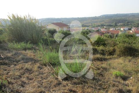 Helårsgrund i Coimbra, Coimbra, Coimbra - € 62.500 | Ref: cbr1688 - foto 12