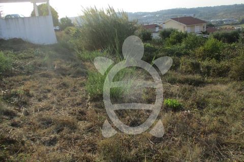 Helårsgrund i Coimbra, Coimbra, Coimbra - € 62.500 | Ref: cbr1688 - foto 13