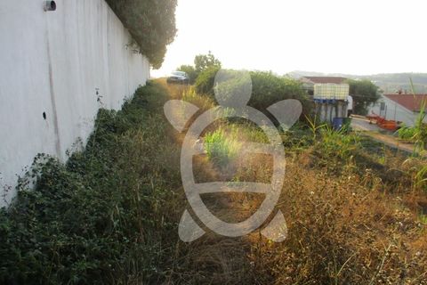 Helårsgrund i Coimbra, Coimbra, Coimbra - € 62.500 | Ref: cbr1688 - foto 14