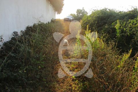Helårsgrund i Coimbra, Coimbra, Coimbra - € 62.500 | Ref: cbr1688 - foto 15