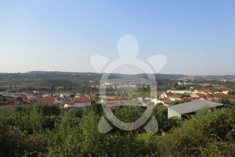 Helårsgrund i Coimbra, Coimbra, Coimbra - € 62.500 | Ref: cbr1688 - foto 16