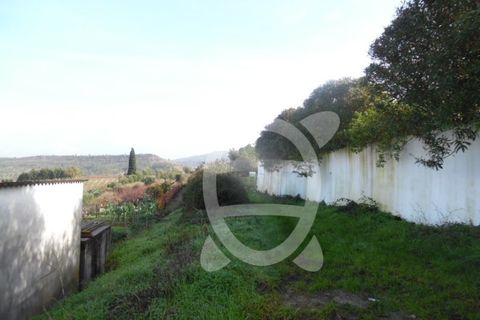 Helårsgrund i Coimbra, Coimbra, Coimbra - € 62.500 | Ref: cbr1688 - foto 17