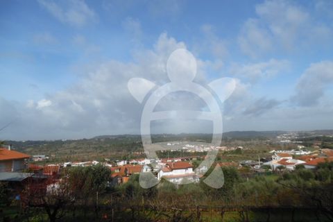 Helårsgrund i Coimbra, Coimbra, Coimbra - € 62.500 | Ref: cbr1688 - foto 18