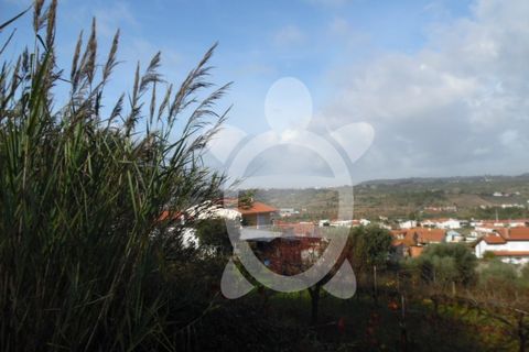 Helårsgrund i Coimbra, Coimbra, Coimbra - € 62.500 | Ref: cbr1688 - foto 19