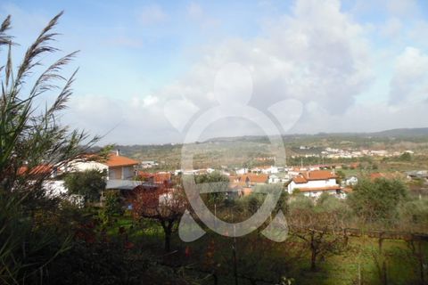 Helårsgrund i Coimbra, Coimbra, Coimbra - € 62.500 | Ref: cbr1688 - foto 20