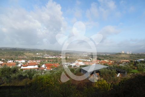 Helårsgrund i Coimbra, Coimbra, Coimbra - € 62.500 | Ref: cbr1688 - foto 21