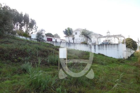Helårsgrund i Coimbra, Coimbra, Coimbra - € 62.500 | Ref: cbr1688 - foto 22