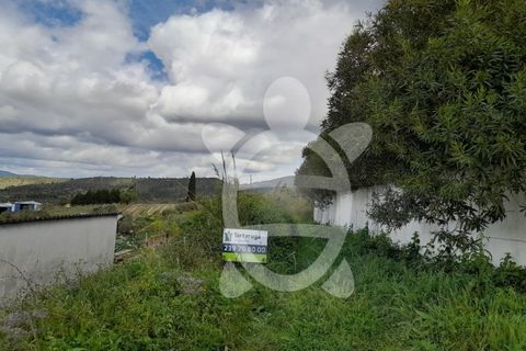 Helårsgrund i Coimbra, Coimbra, Coimbra - € 62.500 | Ref: cbr1688 - foto 23
