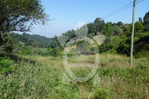 Helårsgrund i Coimbra, Coimbra, Coimbra - € 15.000 | Ref: cbr1606 - foto 1