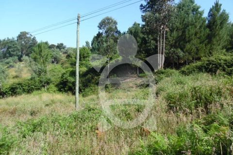 Helårsgrund i Coimbra, Coimbra, Coimbra - € 15.000 | Ref: cbr1606 - foto 2