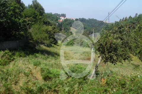 Helårsgrund i Coimbra, Coimbra, Coimbra - € 15.000 | Ref: cbr1606 - foto 3