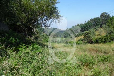 Helårsgrund i Coimbra, Coimbra, Coimbra - € 15.000 | Ref: cbr1606 - foto 4