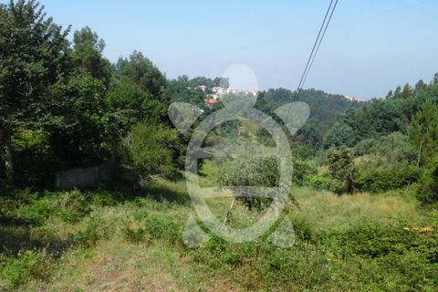 Helårsgrund i Coimbra, Coimbra, Coimbra - € 15.000 | Ref: cbr1606 - foto 5