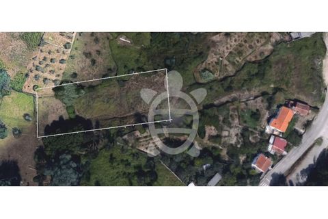 Helårsgrund i Coimbra, Coimbra, Coimbra - € 15.000 | Ref: cbr1606 - foto 6