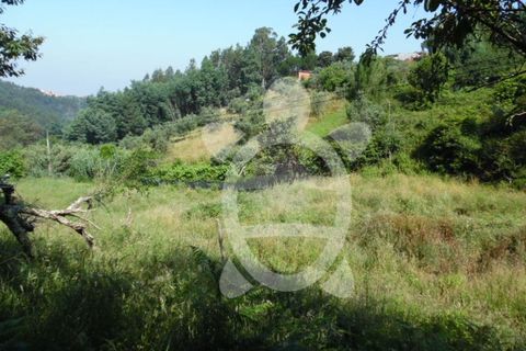 Helårsgrund i Coimbra, Coimbra, Coimbra - € 15.000 | Ref: cbr1606 - foto 7