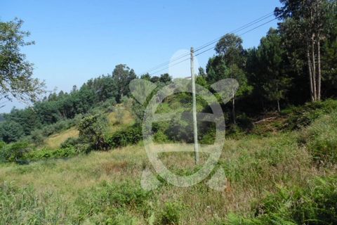 Helårsgrund i Coimbra, Coimbra, Coimbra - € 15.000 | Ref: cbr1606 - foto 9