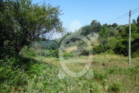 Helårsgrund i Coimbra, Coimbra, Coimbra - € 15.000 | Ref: cbr1606 - foto 10